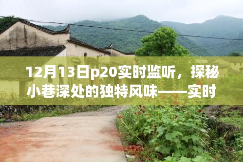 实时监听咖啡馆之旅，探秘小巷深处的独特风味 12月13日P20之旅纪实