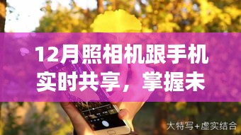 手机与相机实时共享，掌握未来变化之旅，自信与成就感的魔法体验
