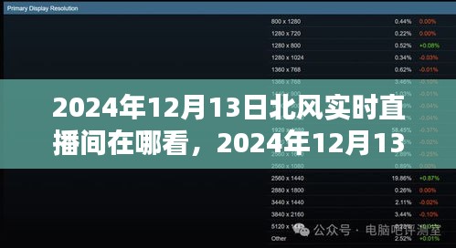 2024年12月13日北风直播间观看指南，热议与探讨的实时直播