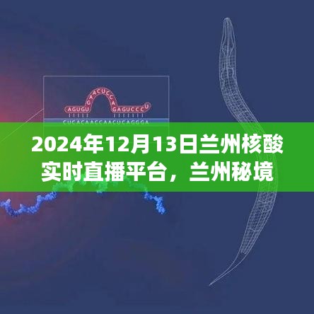 兰州秘境探秘，核酸实时直播平台的心灵之旅