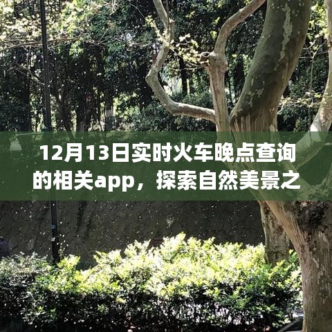 12月13日实时火车晚点查询App，自然美景之旅的贴心助手