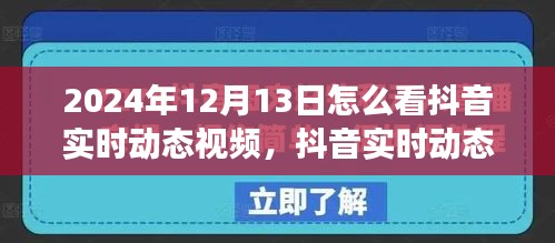 如何观看抖音实时动态视频，观察与反思在2024年12月13日的视角