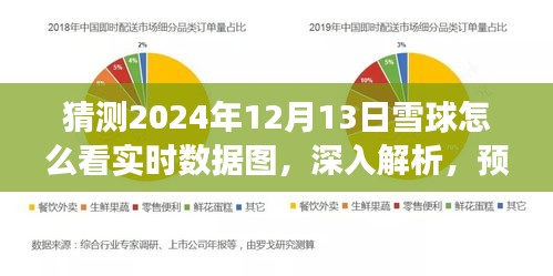 雪球实时数据图深度解析与预测，以未来视角洞察2024年12月13日的雪球数据展现趋势