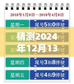 时光轻抚下的生死实时更新，爱与陪伴的温馨日常预测（2024年12月13日）