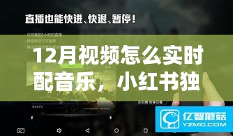 小红书独家秘籍，如何实时配音乐让12月视频更动人？实时配乐指南