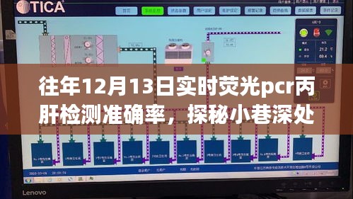 探秘小巷深处的精准诊断秘境，揭秘往年12月13日实时荧光PCR丙肝检测准确率