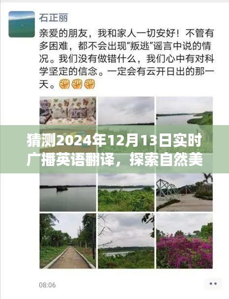 心灵宁静之旅，探索自然美景的广播英语翻译启程于2024年12月13日