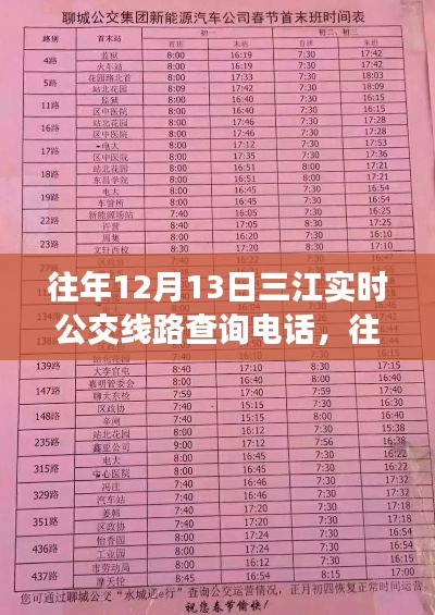 往年12月13日三江实时公交线路查询电话，效率与便利性的双刃剑体验