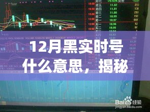 揭秘十二月黑实时号，寻找内心平静的奇妙旅行之旅