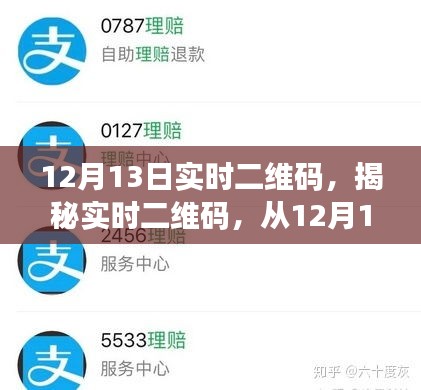 揭秘实时二维码，洞察未来数字交互新趋势的窗口（以12月13日为视角）