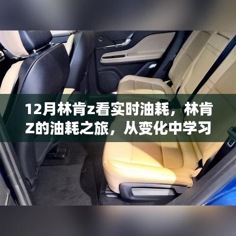 林肯Z的油耗之旅，自信与成就感的十二月奇迹之旅，实时油耗变化学习之路