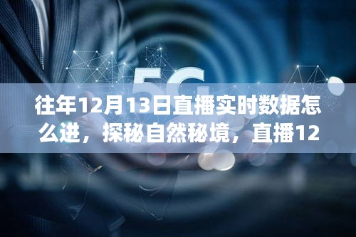 探秘自然秘境，直播美景开启心灵之旅——往年12月13日直播实时数据解析与美景分享日纪实录