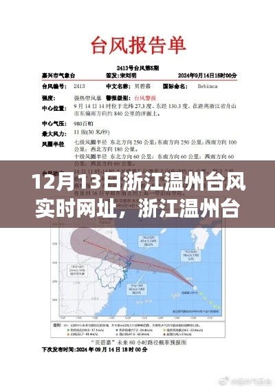 浙江温州台风实时网址关注度与个人见解剖析