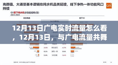 12月13日广电流量狂欢日，家庭网络盛宴的实时观看指南
