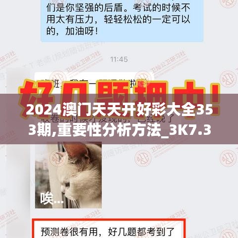 2024澳门天天开好彩大全353期,重要性分析方法_3K7.339