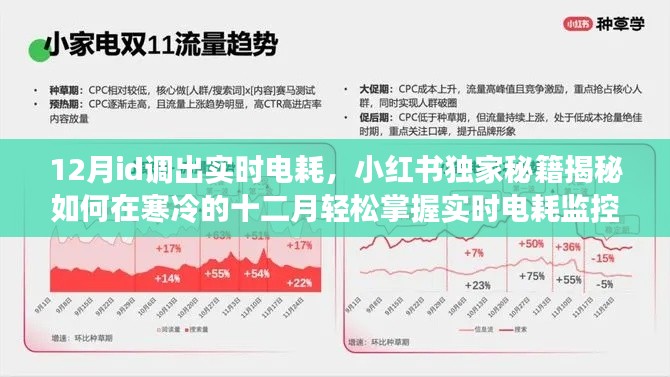 小红书独家揭秘，十二月实时电耗监控技巧，轻松掌握电耗情况！