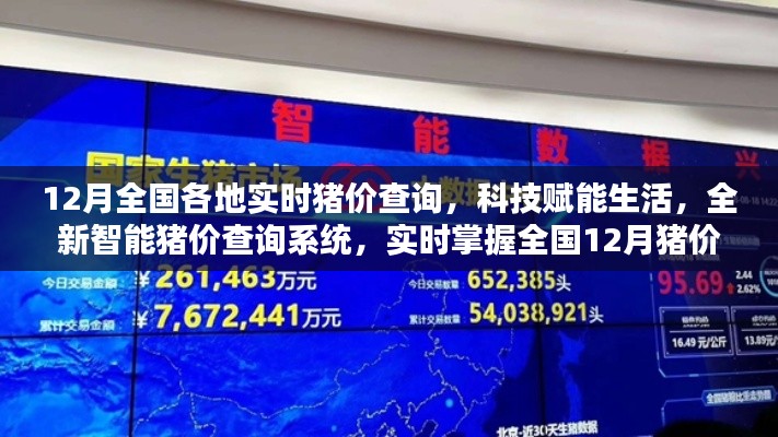 全国实时猪价查询系统上线，科技助力，掌握最新猪价动态