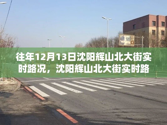 沈阳辉山北大街12月13日实时路况详解与应对攻略