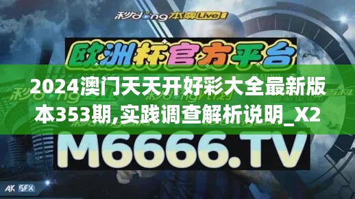 2024澳门天天开好彩大全最新版本353期,实践调查解析说明_X2.473