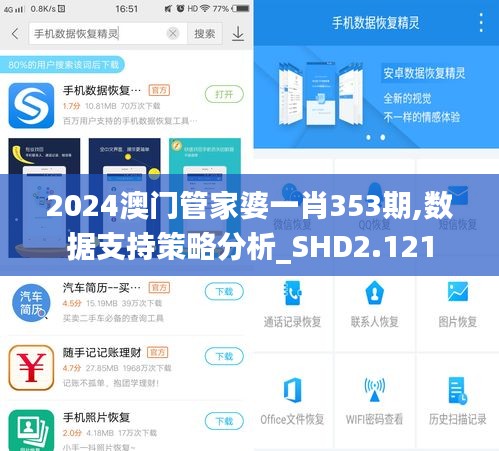 2024澳门管家婆一肖353期,数据支持策略分析_SHD2.121