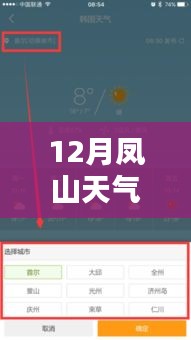 12月凤山天气实时预报查询产品全面评测与介绍