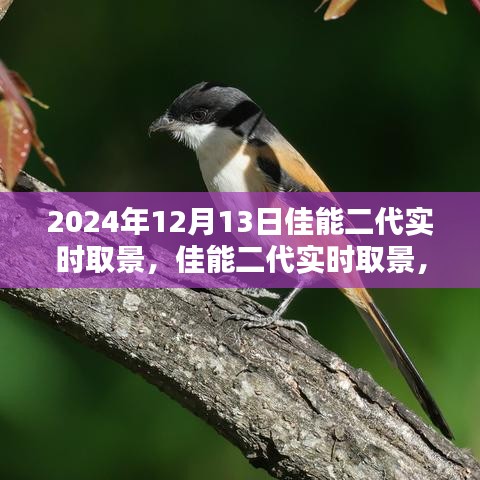 佳能二代实时取景，镜头下的温暖与友情纽带纪实纪实摄影分享