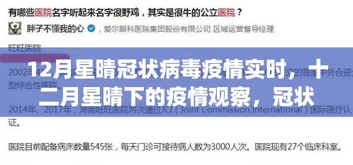 十二月星晴下的全球冠状病毒疫情实时观察与回顾