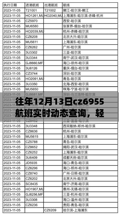 往年CZ6955航班实时动态查询指南，轻松掌握航班动态查询技巧及详细步骤解析