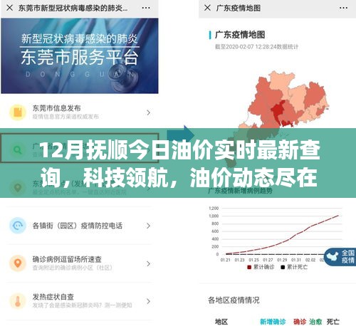 抚顺油价实时查询系统上线，掌握油价动态，科技领航助力油价资讯尽在指尖