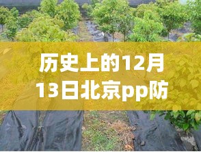 历史上的12月13日北京PP防草布实时报价深度解析及市场动态