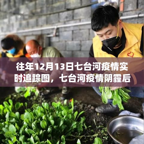 七台河疫情阴霾后的自然之旅，疫情追踪与内心平静的探险之路