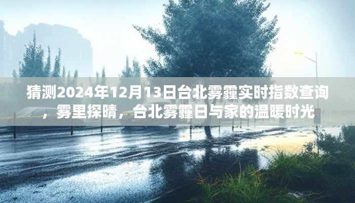 雾里探晴，台北雾霾指数预测与家的温馨时光（2024年12月13日）