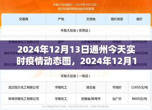2024年12月13日通州疫情实时动态图及最新数据解析与防控措施