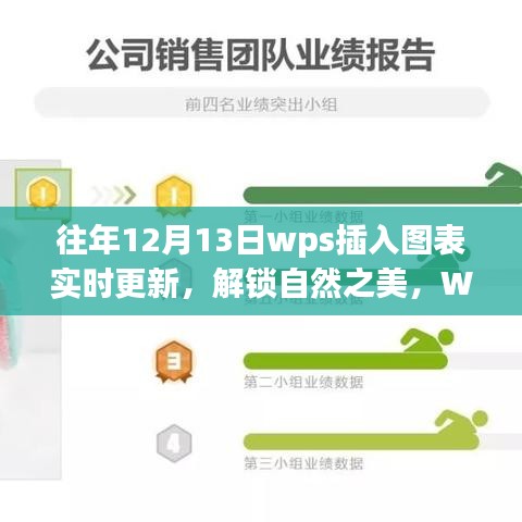 WPS图表之旅，实时更新解锁自然之美，启程寻找宁静与喜悦的图表之旅