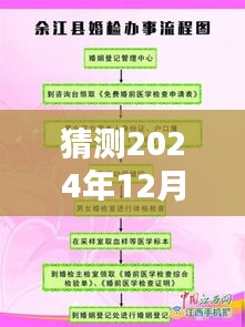 揭秘婚检过程，预测未来婚检实时图片详解（初学者与进阶用户指南）
