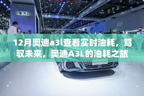 奥迪A3L油耗之旅，实时掌握，驾驭未来的自信与成就感