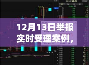 12月13日举报实时受理案例解析及其价值与影响探讨