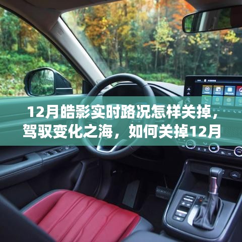 皓影实时路况关闭指南与开启自信成就之旅