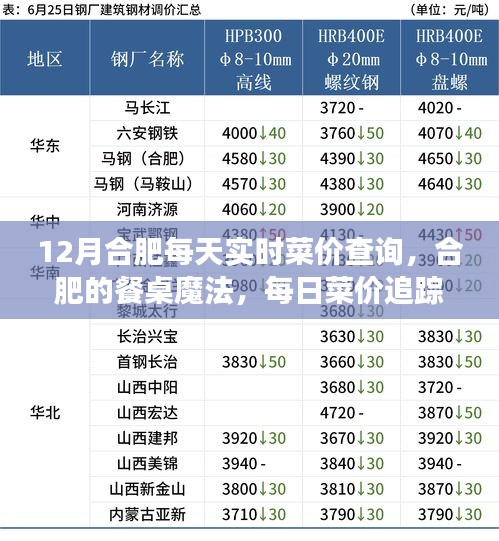 合肥餐桌魔法，每日菜价追踪与家的温馨故事，实时查询菜价助你料理家常