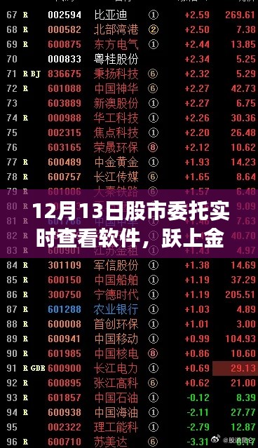 股市委托实时查看软件助力金融高峰励志之旅
