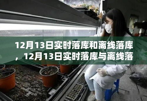 12月13日实时落库与离线落库全面评测及用户指南
