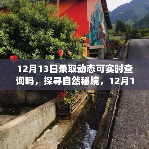 探寻自然秘境，轻松查询录取动态，开启旅行之旅的12月13日启程日