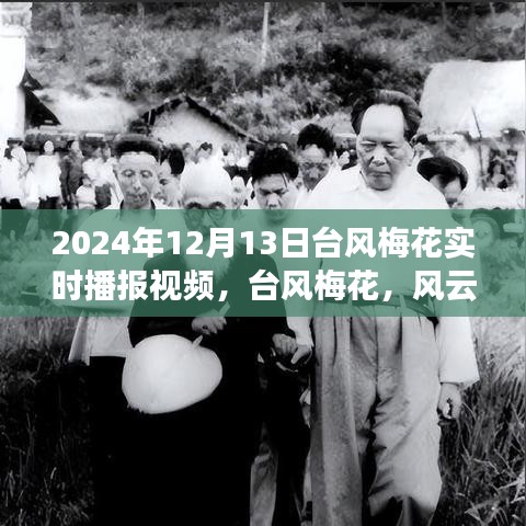 台风梅花壮丽交响,风云激荡中的自然交响乐实况播报视频(2024年12月13日)