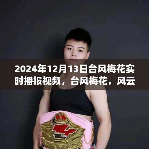 台风梅花壮丽交响,风云激荡中的自然交响乐实况播报视频(2024年12月13日)