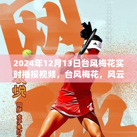 台风梅花壮丽交响,风云激荡中的自然交响乐实况播报视频(2024年12月13日)