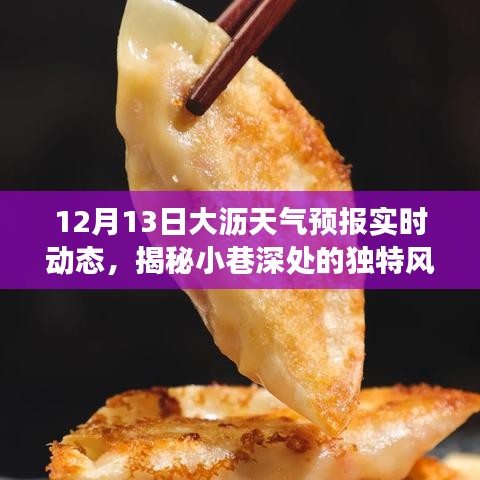 大沥天气预报下的惊喜小店故事，实时动态与小巷深处的独特风味揭秘