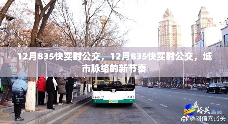 12月835快实时公交，城市脉搏的新节奏