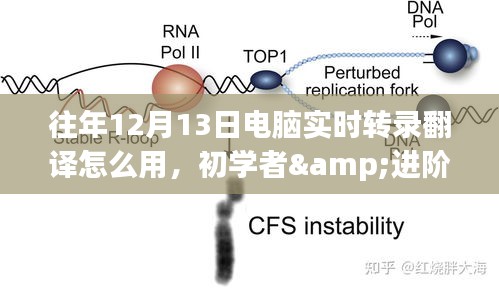 电脑实时转录翻译使用指南，适合初学者与进阶用户的全面教程（往年12月13日版）