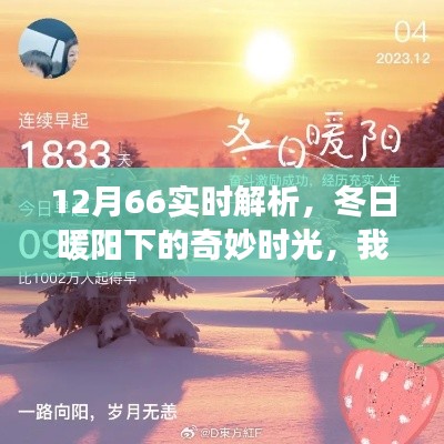 冬日暖阳下的奇妙时光，我与朋友们的实时解析日常故事（12月66篇）