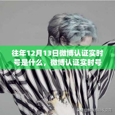 微博认证实时号查询指南，往年12月13日版操作教程，适合初学者与进阶用户